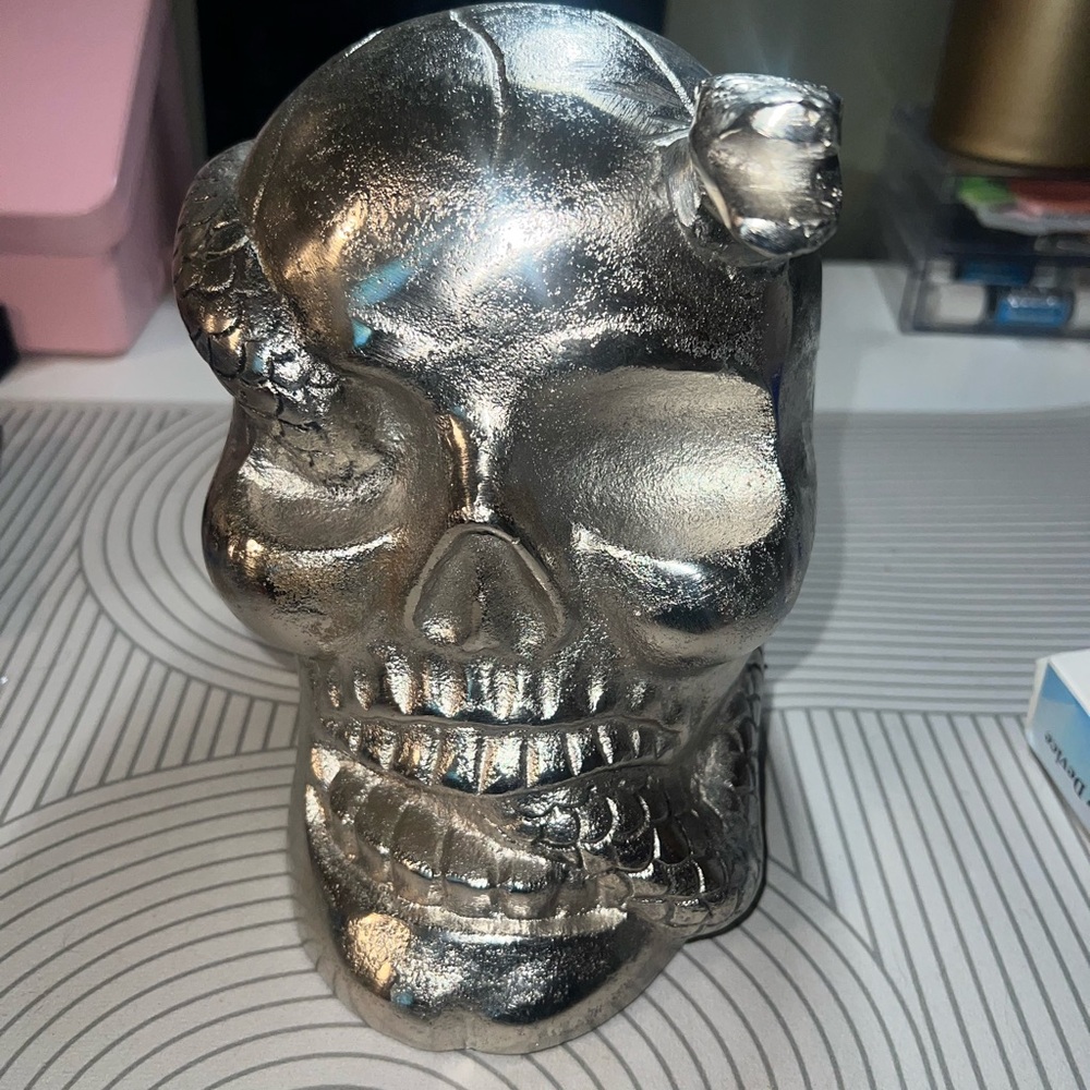 Silver Skull Art Sculpture